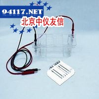 DYCP-32B型 琼脂糖水平电泳槽（中号）